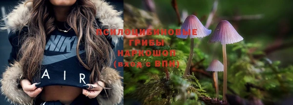 эйфоретик Медногорск