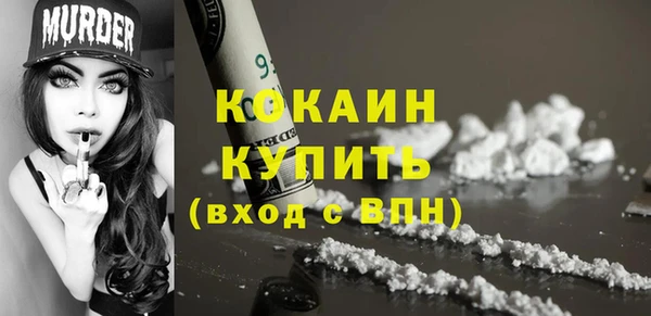 прущие грибы Михайловск