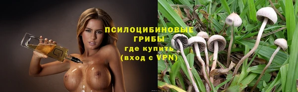 дурь Мегион