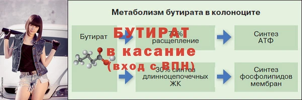 прущие грибы Михайловск