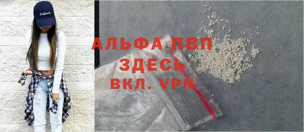 ECSTASY Михайлов