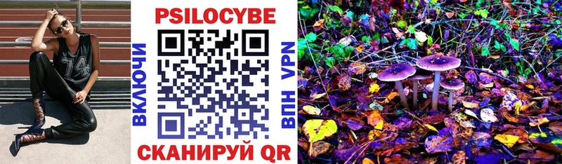 Псилоцибиновые грибы GOLDEN TEACHER  Николаевск-на-Амуре 